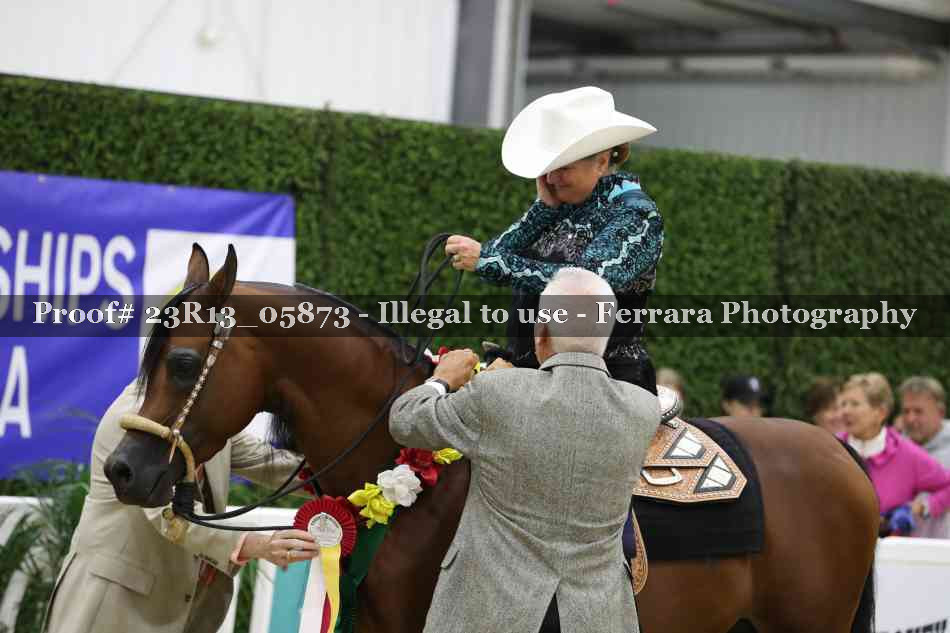 Proof 23R13_05873