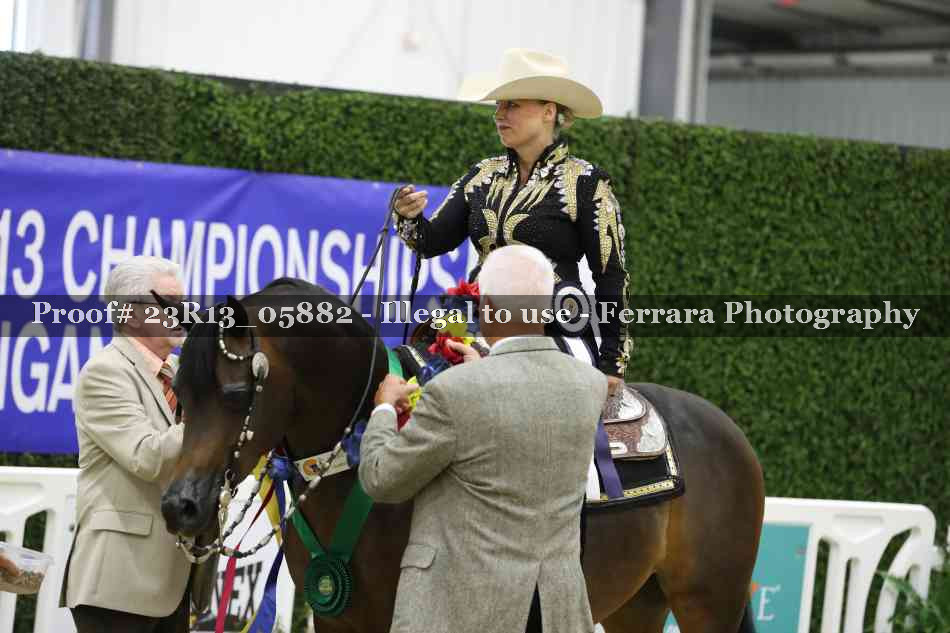 Proof 23R13_05882
