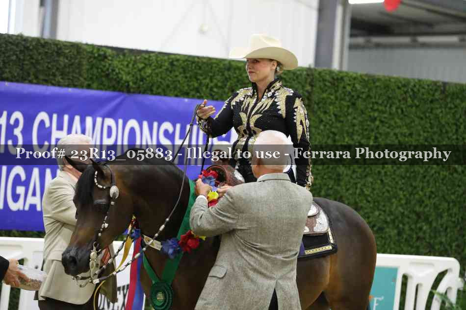 Proof 23R13_05883