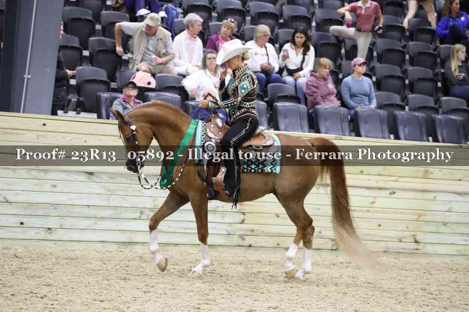 Proof 23R13_05892