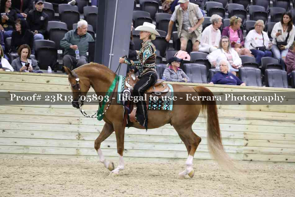 Proof 23R13_05893