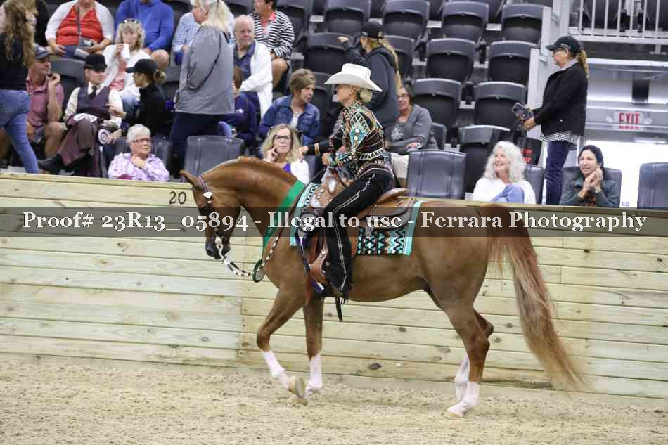 Proof 23R13_05894