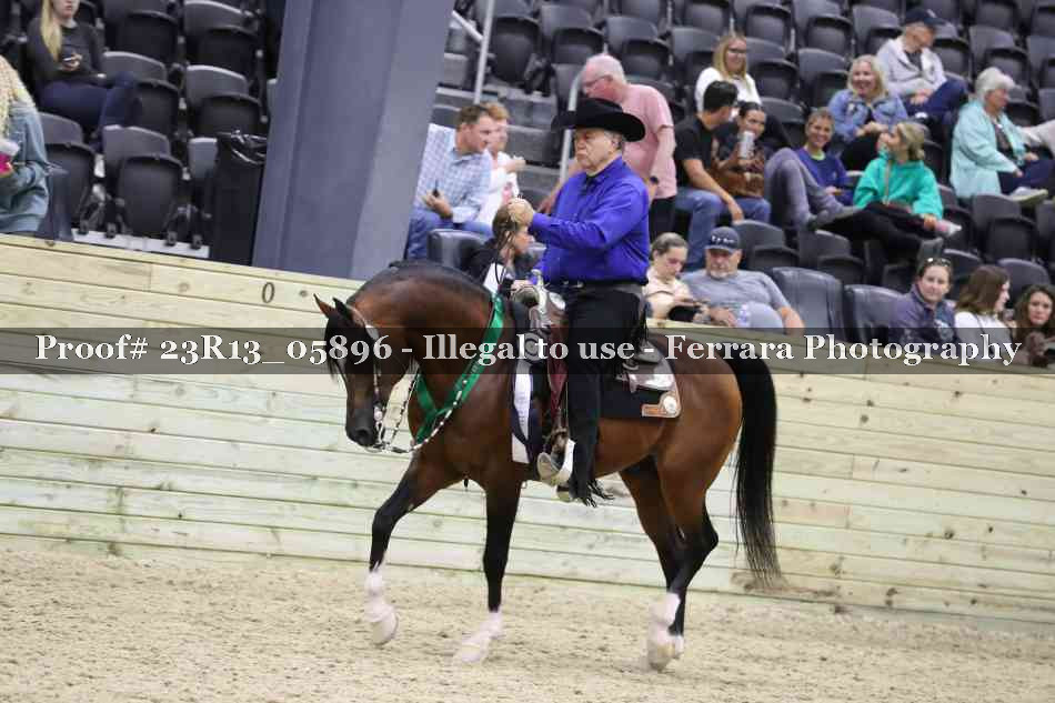 Proof 23R13_05896