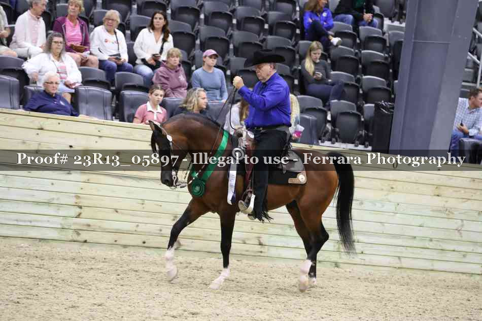 Proof 23R13_05897