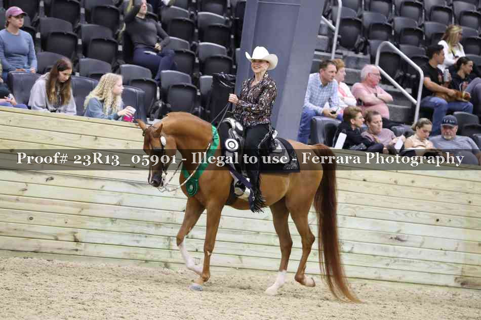 Proof 23R13_05901