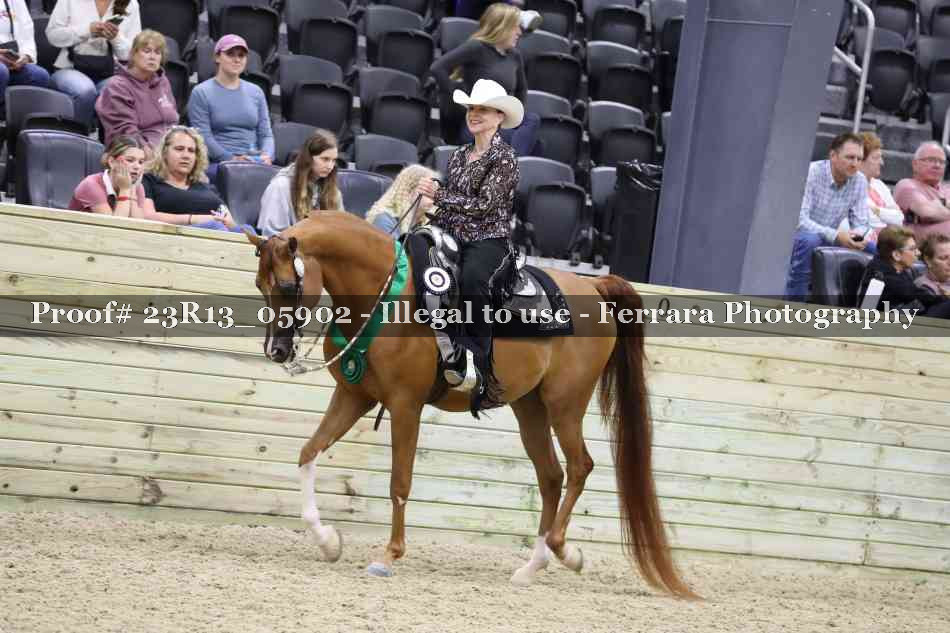 Proof 23R13_05902