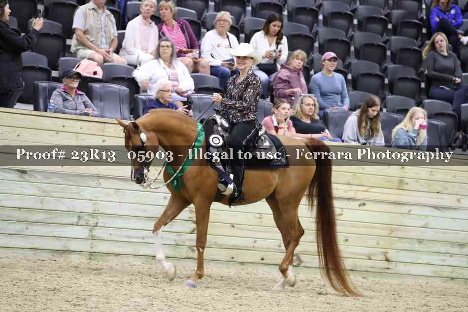 Proof 23R13_05903