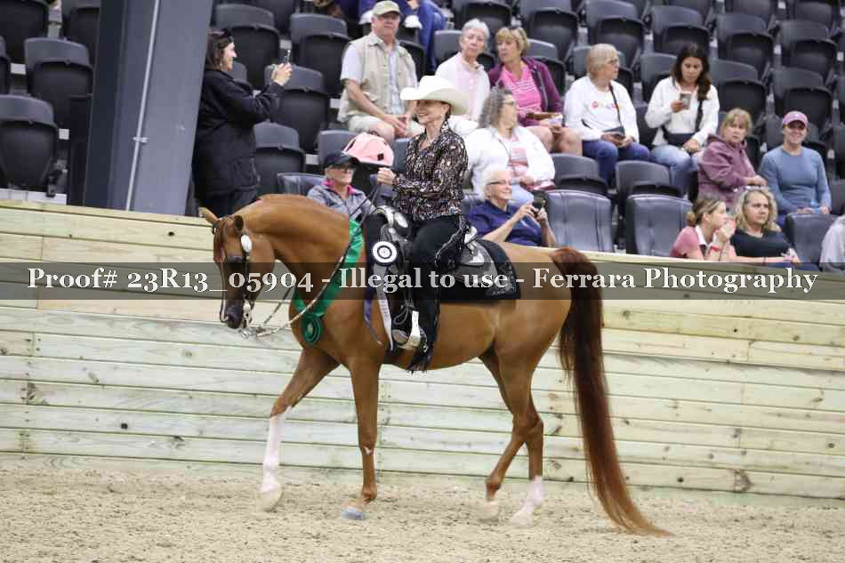 Proof 23R13_05904