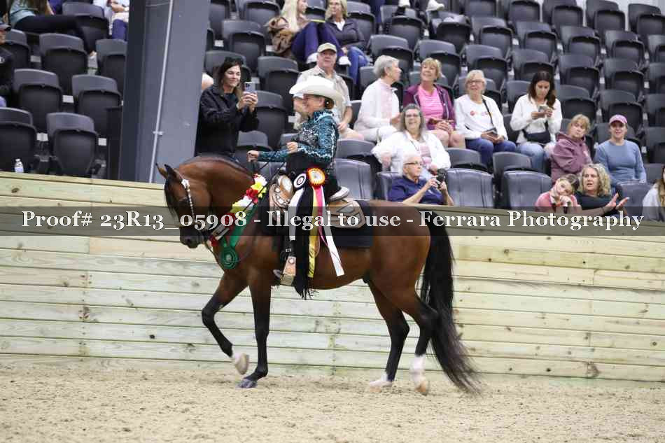 Proof 23R13_05908
