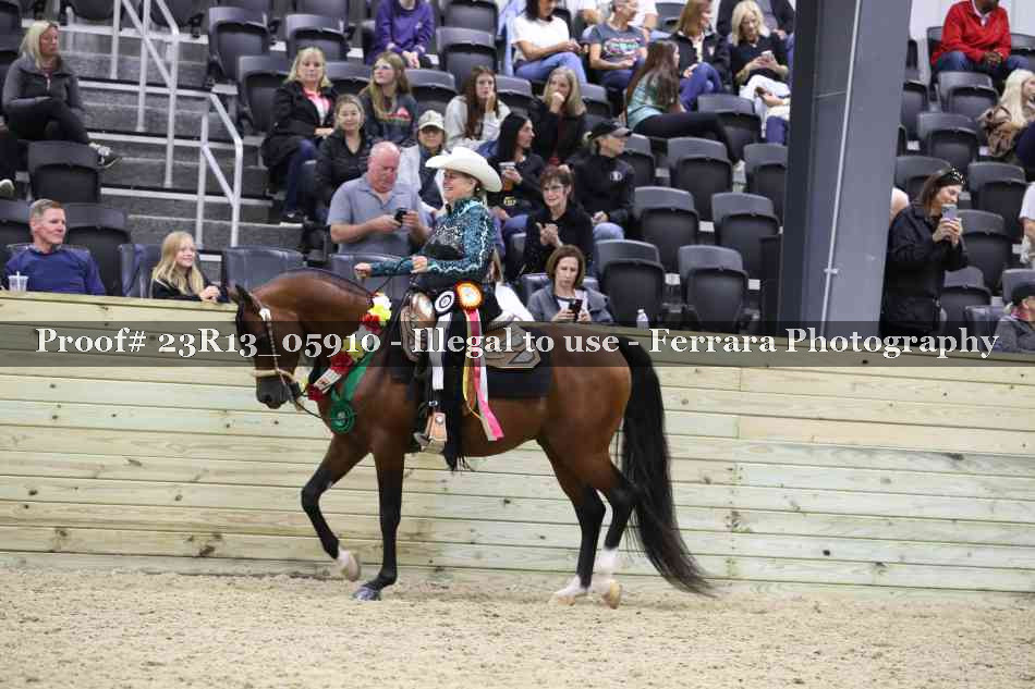 Proof 23R13_05910