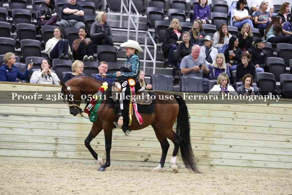 Proof 23R13_05911