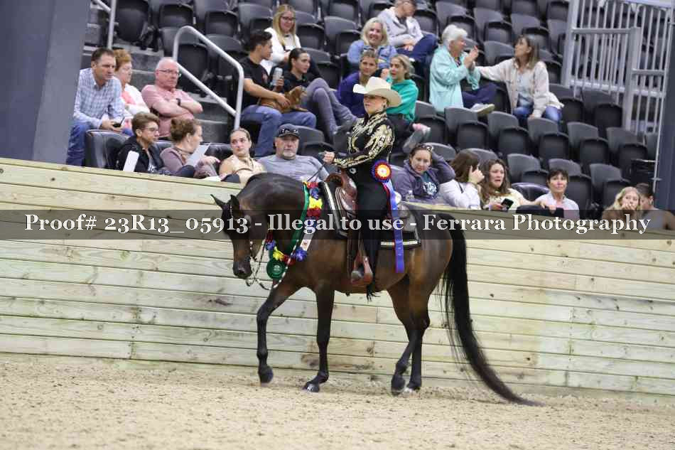 Proof 23R13_05913