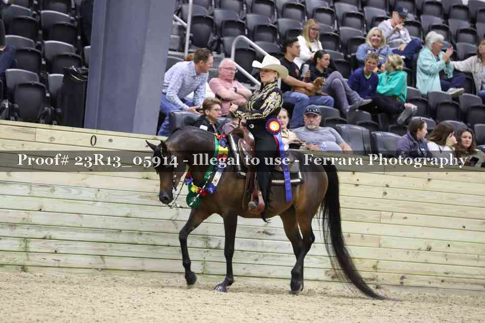 Proof 23R13_05914