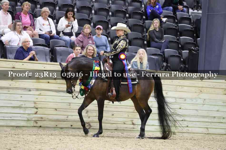 Proof 23R13_05916