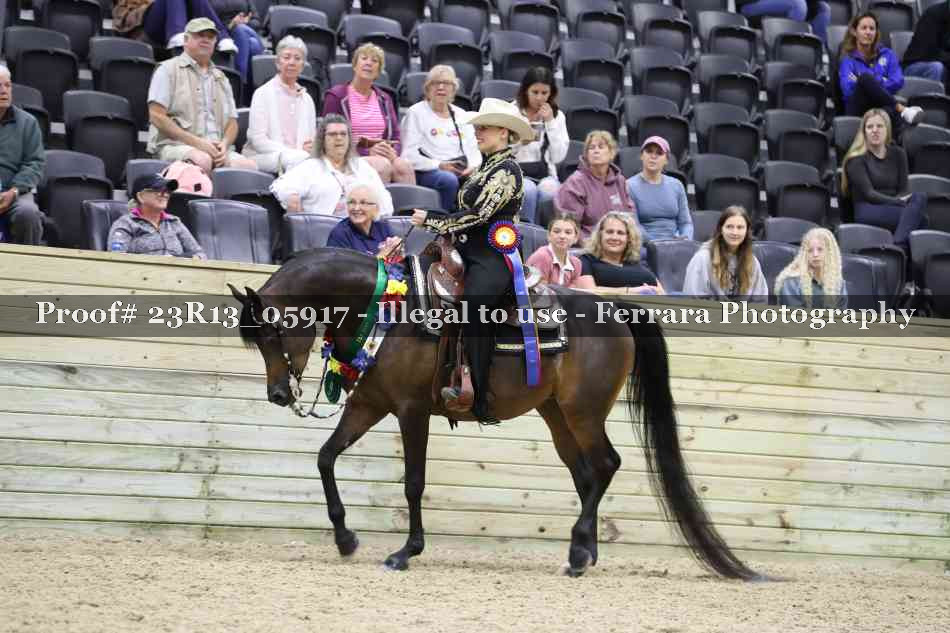 Proof 23R13_05917