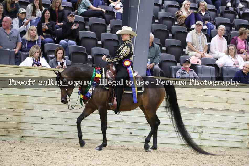 Proof 23R13_05919