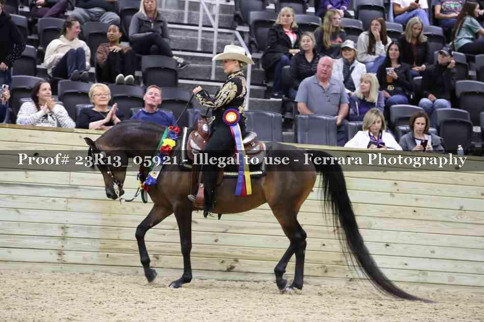 Proof 23R13_05921