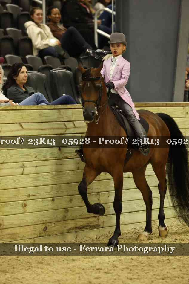 Proof 23R13_05928