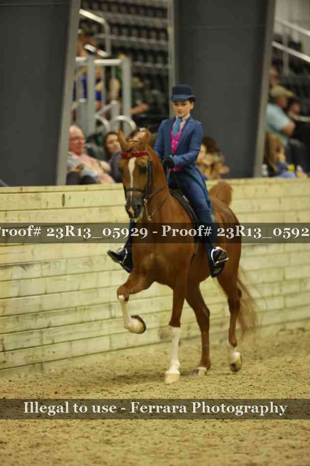 Proof 23R13_05929
