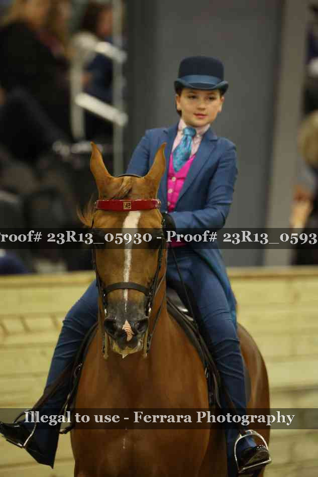 Proof 23R13_05930