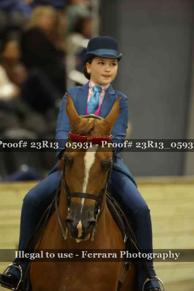 Proof 23R13_05931