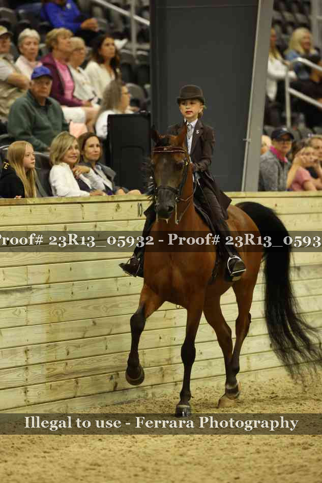 Proof 23R13_05932