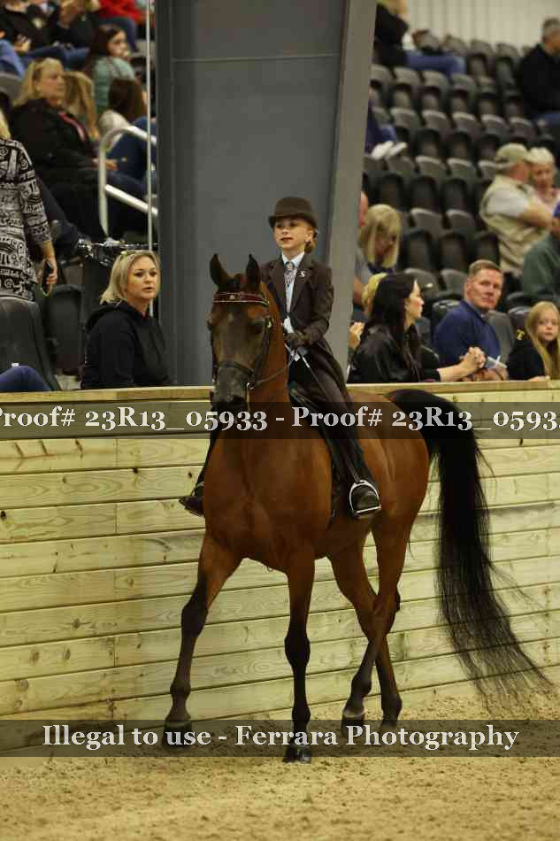 Proof 23R13_05933