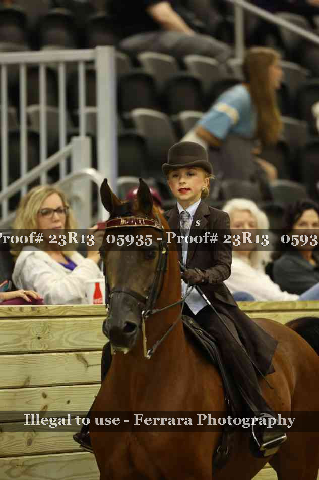 Proof 23R13_05935
