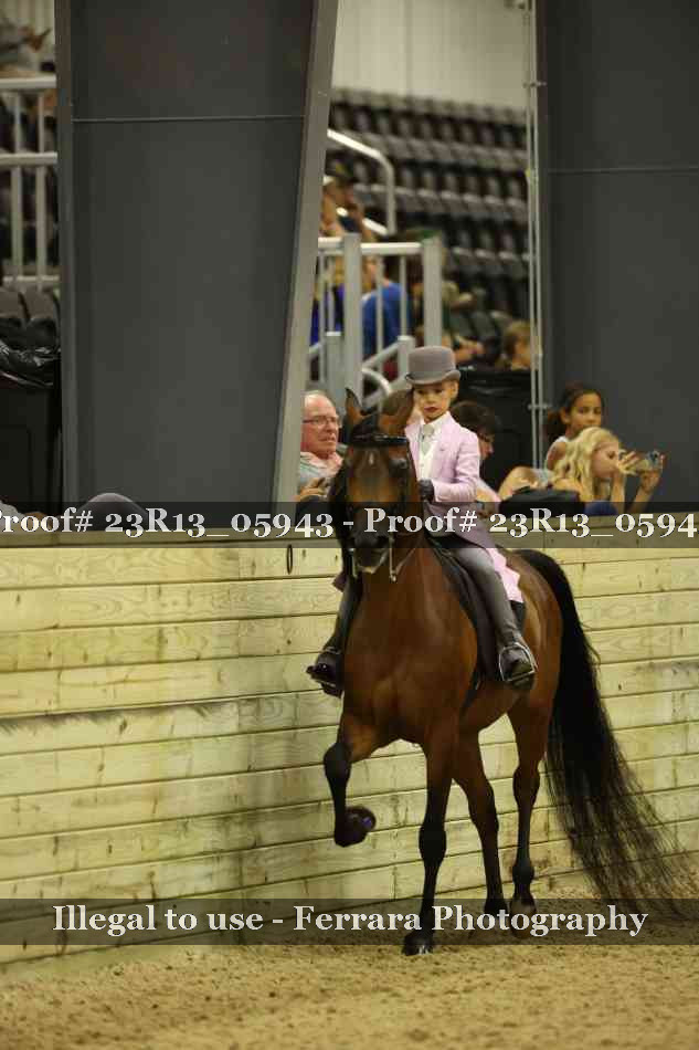 Proof 23R13_05943