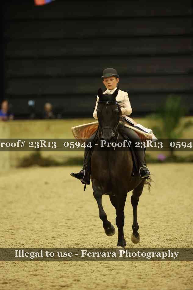 Proof 23R13_05944
