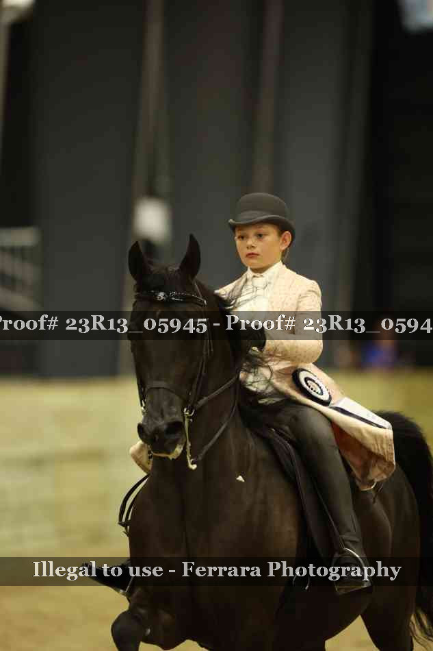 Proof 23R13_05945