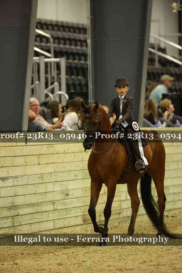 Proof 23R13_05946