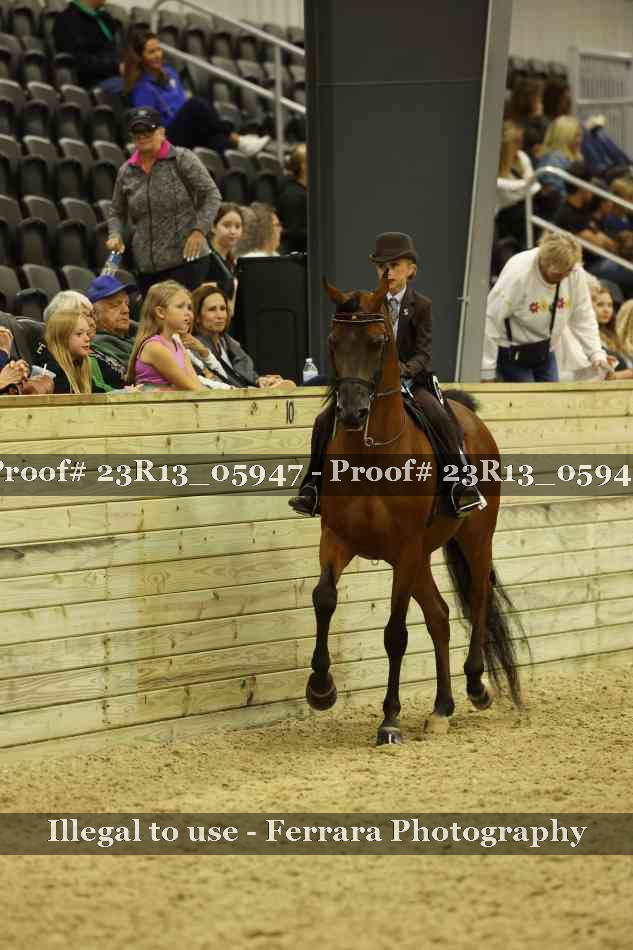 Proof 23R13_05947