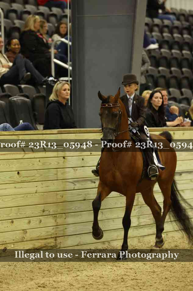 Proof 23R13_05948