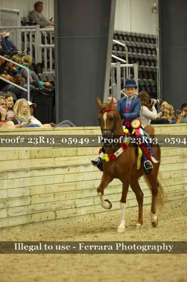 Proof 23R13_05949
