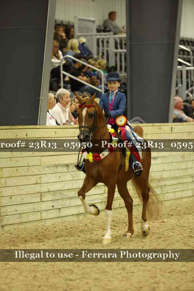 Proof 23R13_05950