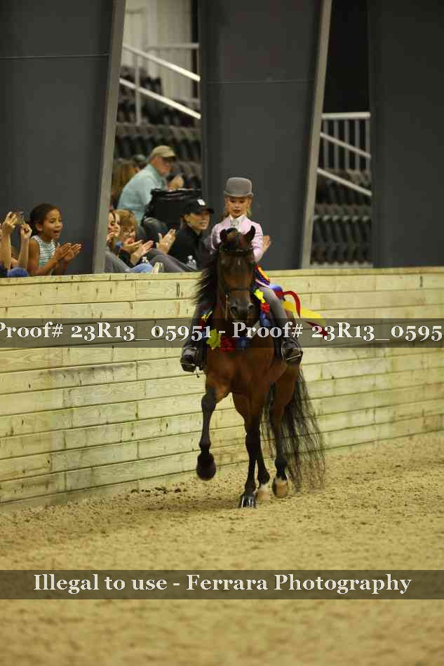 Proof 23R13_05951