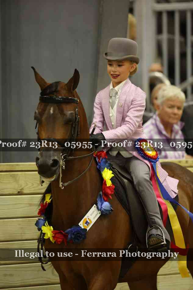 Proof 23R13_05955