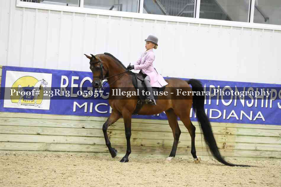 Proof 23R13_05957