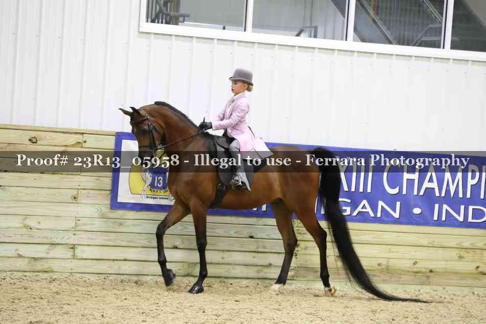 Proof 23R13_05958