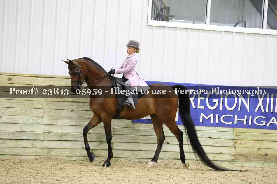 Proof 23R13_05959