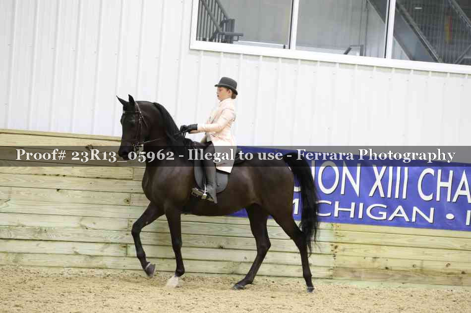Proof 23R13_05962