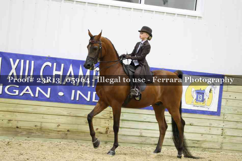 Proof 23R13_05964