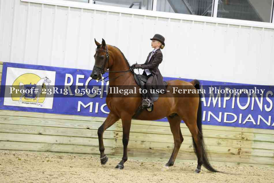 Proof 23R13_05965