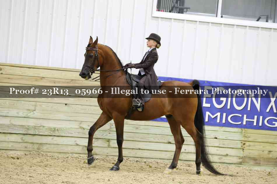 Proof 23R13_05966