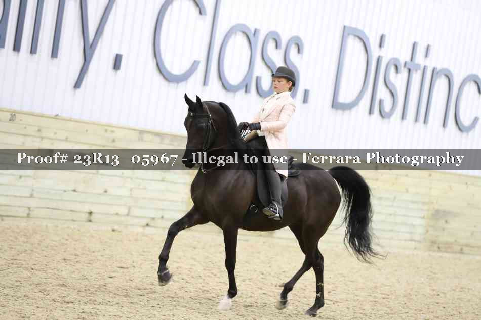 Proof 23R13_05967