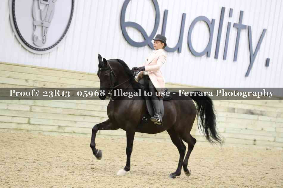 Proof 23R13_05968