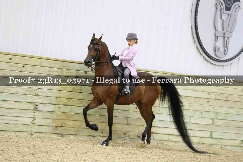 Proof 23R13_05971