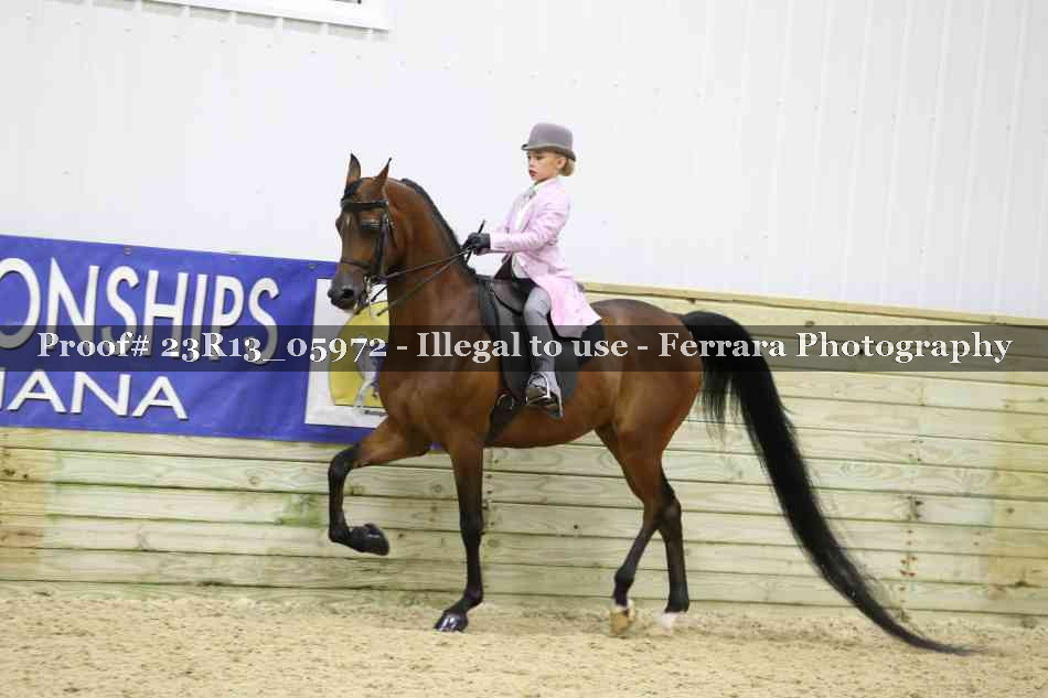 Proof 23R13_05972
