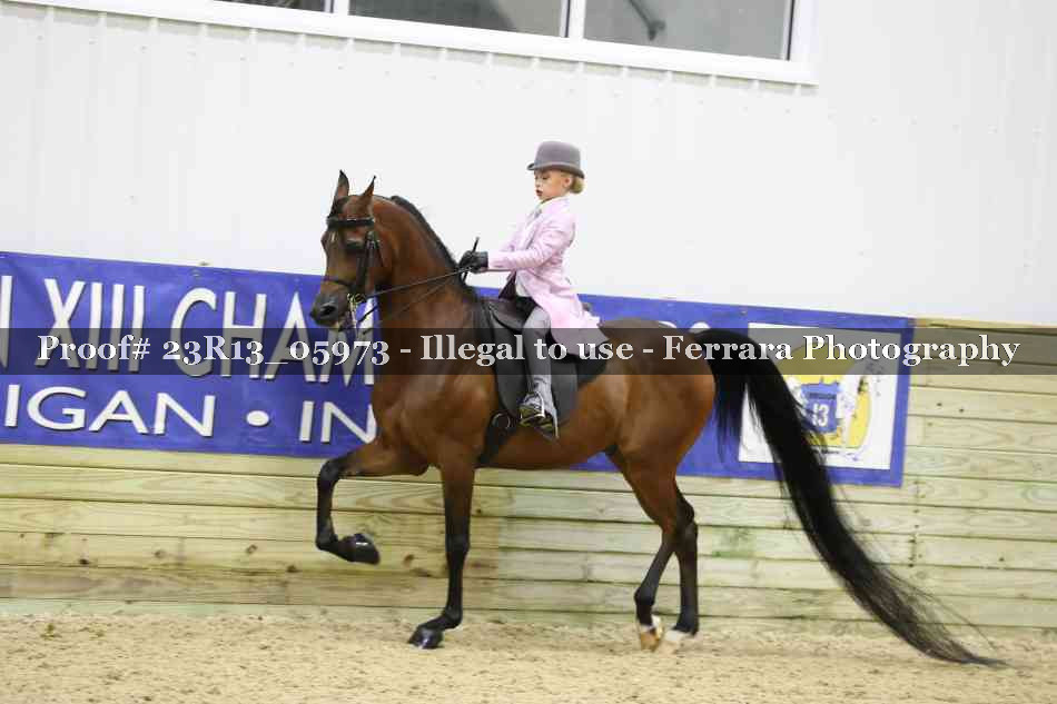 Proof 23R13_05973